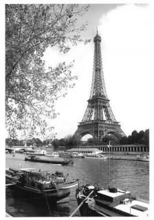 ݥȥThe Eiffel tower ,Paris