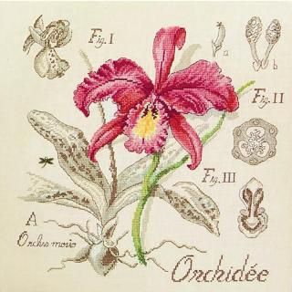 ÉTUDE À L'ORCHIDÉE  (θ)<br>ɳݤ ʪ ꡼<br>VERONIQUE ENGINGER(˥󥸥󥸥)ǥ 