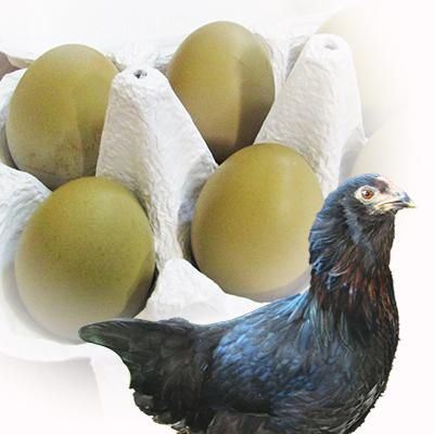 R2-027 黒翡翠バングル54.7 黒烏鶏種天然翡翠 上品な 超おすすめの一品