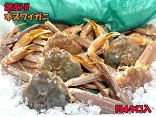 <img class='new_mark_img1' src='https://img.shop-pro.jp/img/new/icons5.gif' style='border:none;display:inline;margin:0px;padding:0px;width:auto;' />ܥ磻ˡ4