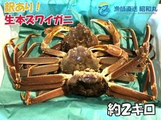 <img class='new_mark_img1' src='https://img.shop-pro.jp/img/new/icons5.gif' style='border:none;display:inline;margin:0px;padding:0px;width:auto;' />ܥ磻ˡ2