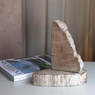 petrified wood bookend/  B