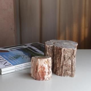 petrified wood logs set