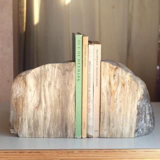 petrified wood bookend