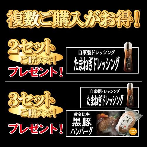 初回限定/黒豚お試しセット/【送料無料】-お試しrmkp- - 鹿児島