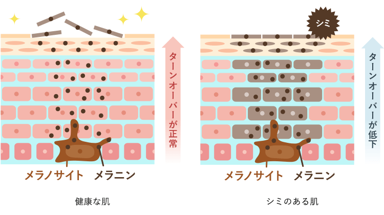 ȩ̿ޥ