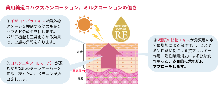ヤマノ肌 薬用美道 コハク スキンローション(化粧水)【医薬部外 ヤマノ肌 薬用美道 コハク スキンローション(化粧水)【医薬部外