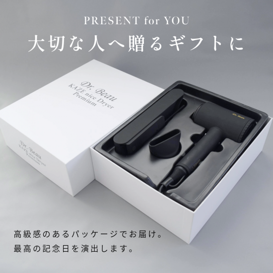KAZE nice Dryer Premium| 超軽量・速乾・専用スタンド