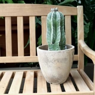 Amazon.co.jp: ガーデニング用品 植木鉢 プランター セラミック
