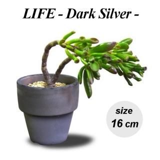 山草・盆栽・古典 - おしゃれな植木鉢とプランターの通販専門店 山草・盆栽・古典 - おしゃれな植木鉢とプランターの通販専門店