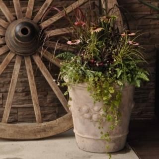 46cm～ - おしゃれな植木鉢とプランターの通販専門店 aarde（アールデ）