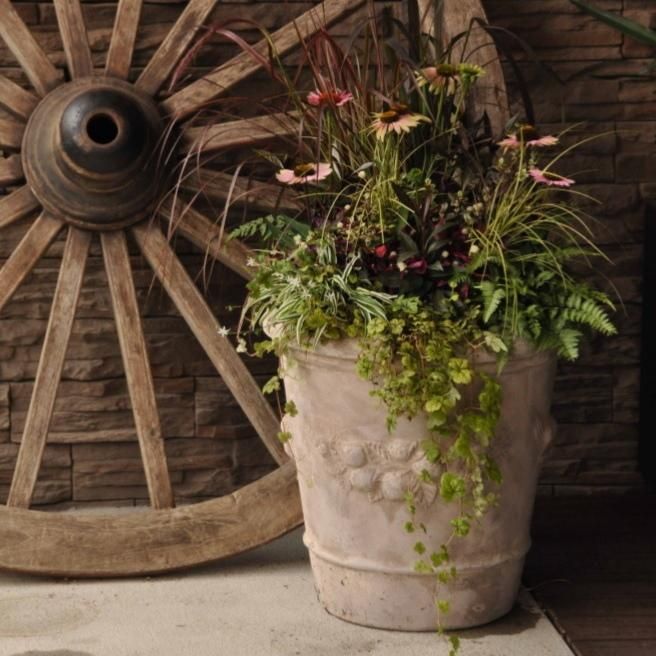 プランター おしゃれ サボテン モンテガロアンティコL< 45cm 15号