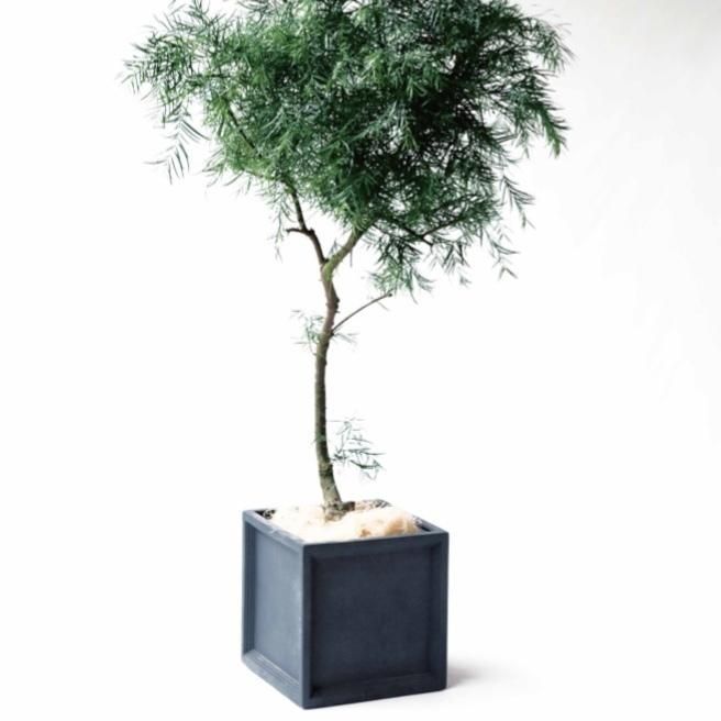 繊維強化プラスチック製正方形プランター 繊維強化プラスチック製正方形プランター 園芸用品