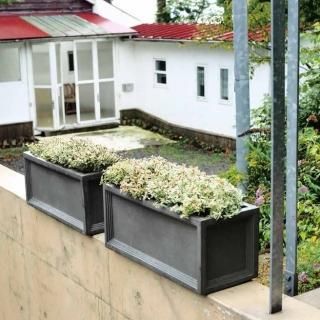 46cm～ - おしゃれな植木鉢とプランターの通販専門店 aarde（アールデ）