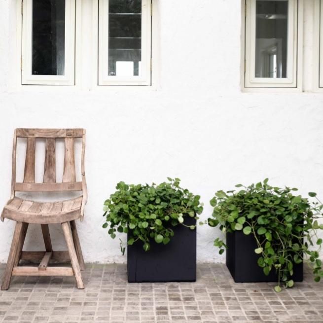 137102010.jpg?cmsp_timestamp=