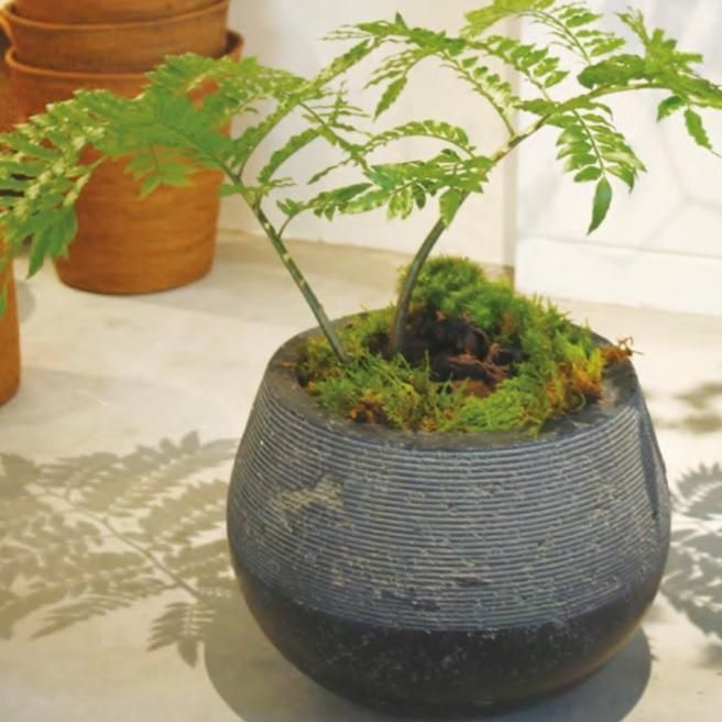 アンティーク鉢 h09-qy13.jpg