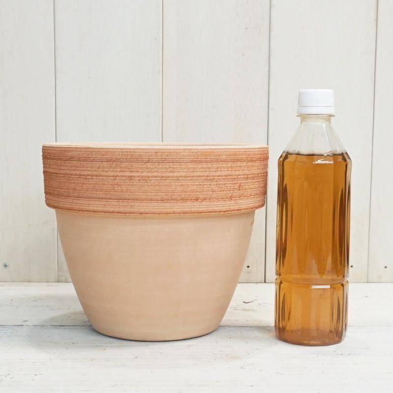 プランター おしゃれ サボテン スクラッチジオポットS＜ 20cm 7