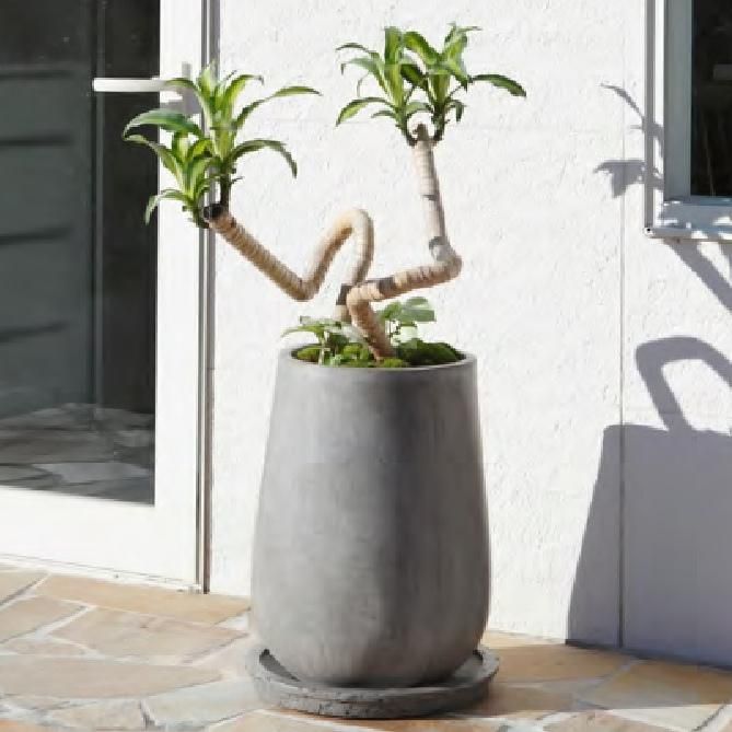 植木鉢 おしゃれ 大型 セメント セドナポット L< 55cm 18号 底 植木鉢 おしゃれ 大型 セメント セドナポット L< 55cm 18号 底
