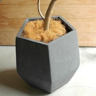商品検索 おしゃれな植木鉢とプランターの通販専門店 rde アールデ 商品検索 おしゃれな植木鉢とプランターの通販専門店 rde アールデ