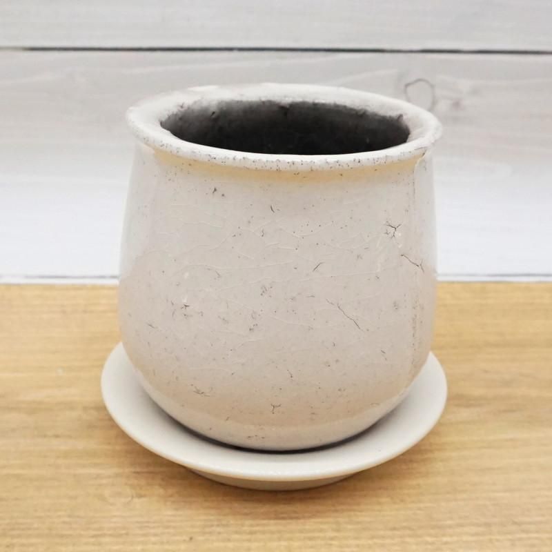 植木鉢 おしゃれ 陶器鉢 ステララウンドS(4色) 11cm 4号 穴あり 受け皿