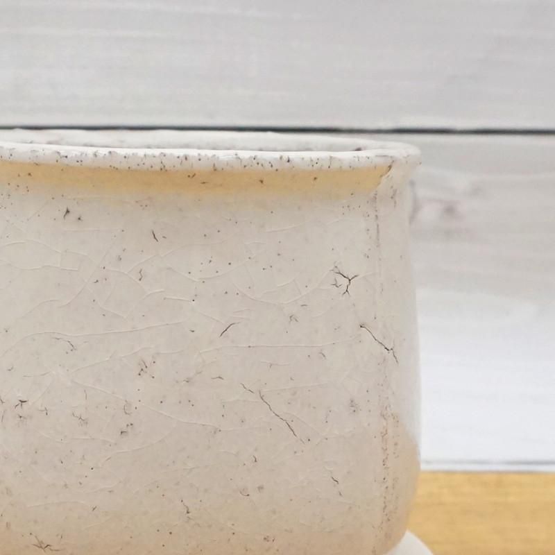 植木鉢 おしゃれ 陶器鉢 ステララウンドS(4色) 11cm 4号 穴あり