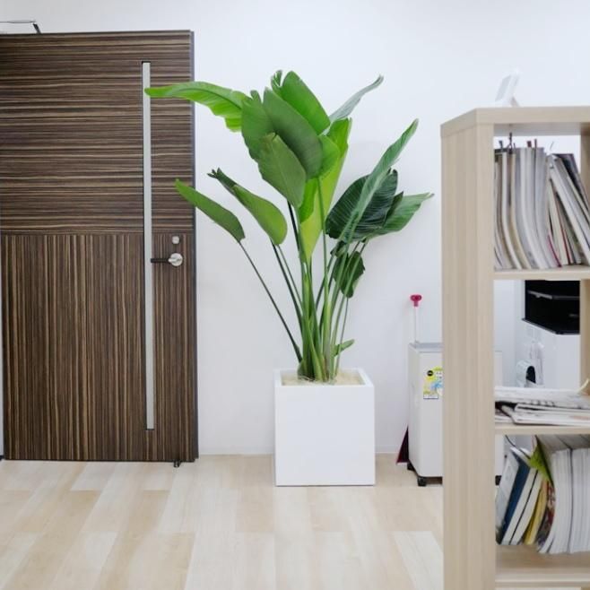 植木鉢 おしゃれ 大型 バスクキューブ M＜ファイバークレイ 50cm