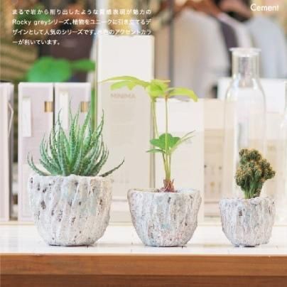 鉢・プランター toky rock pot TOKY rock pot