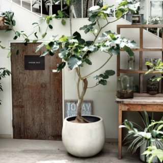 おしゃれな植木鉢とプランターの通販専門店 aarde（アールデ）