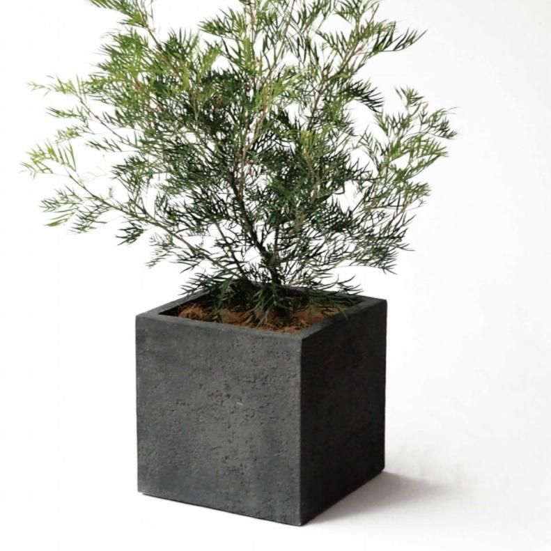 リガンデキューブ 50 植木鉢　プランター　軽量鉢 リガンデキューブ 50（植木鉢／プランター／軽量鉢）EB-PL872050