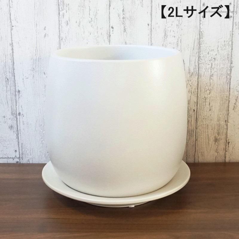 植木鉢 おしゃれ 陶器鉢 オストボールM 17cm 4号 受け皿あり 白 鉢