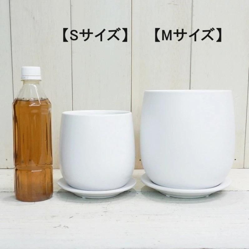 植木鉢 おしゃれ 陶器鉢 オストボールM 17cm 4号 受け皿あり 白 鉢