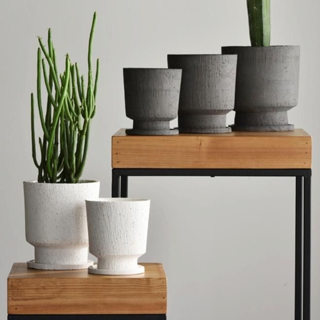 0812  植木鉢  陶器  入れ物 0812 植木鉢 陶器 入れ物 0812 植木鉢 陶器 入れ物 【公式通販】