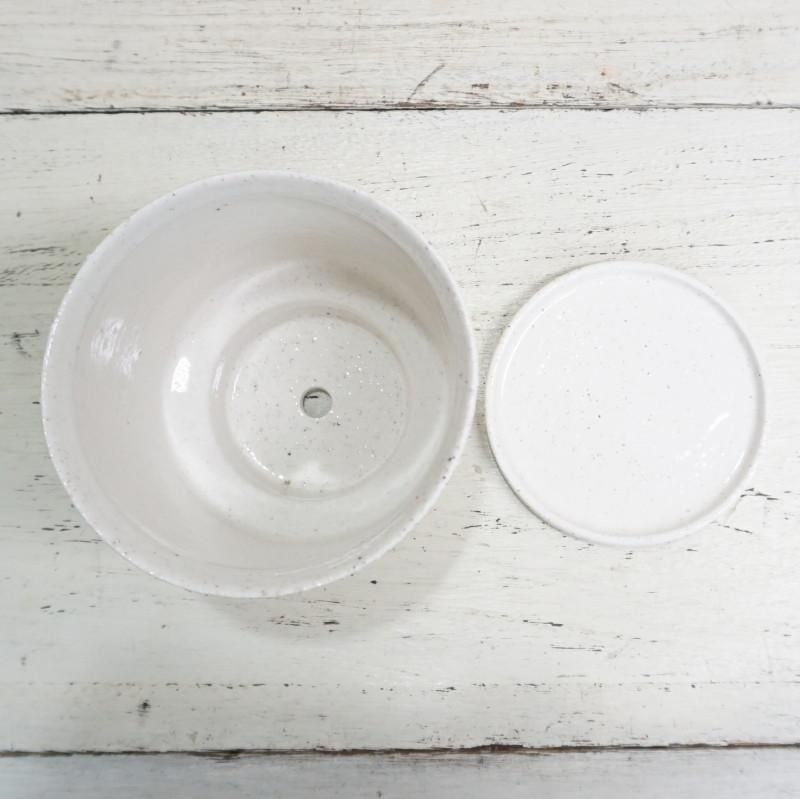 植木鉢 おしゃれ 陶器鉢 イオニアシンボトムM (2色) 12cm 4号 受け皿付