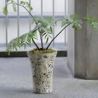 おしゃれな植木鉢とプランターの通販専門店 rde アールデ おしゃれな植木鉢とプランターの通販専門店 rde アールデ