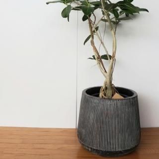 おしゃれな植木鉢とプランターの通販専門店 rde アールデ おしゃれな植木鉢とプランターの通販専門店 rde アールデ
