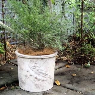 4001円～5000円 - おしゃれな植木鉢とプランターの通販専門店 aarde