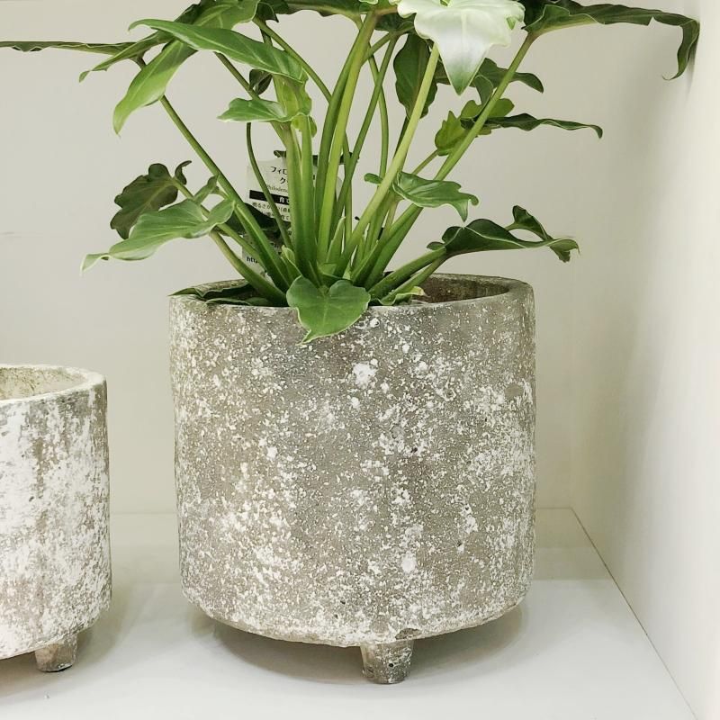 植木鉢 おしゃれ セメント アンティーク カリストボウル足付S