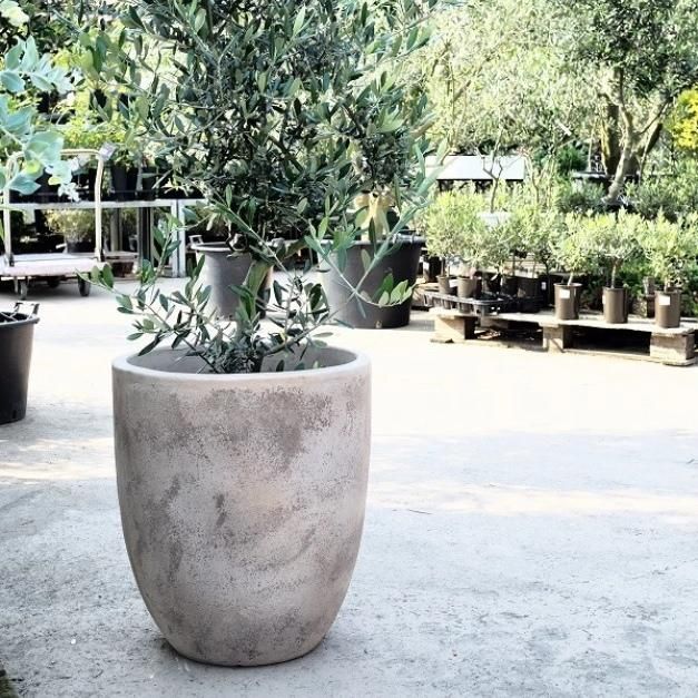 精緻な植物紋★サンルイ クリスタル 大型デキャンタ 36㎝ アールデコ期 精緻な植物紋☆サンルイ クリスタル 大型デキャンタ 36
