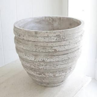 【柱サボテン/モンスト】 鉢底から約60㎝❗️ potのまま配送 柱サボテン/モンスト】 鉢底から約60㎝❗️ potのまま配送