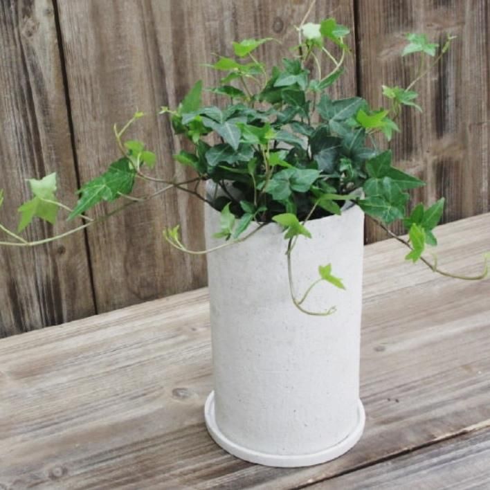 植木鉢 おしゃれ 陶器鉢 イオニアトールL＜ 12cm 4号 穴あり