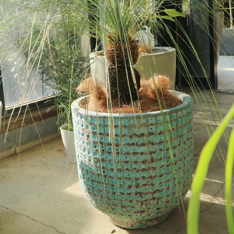 植木鉢 落鑑有り