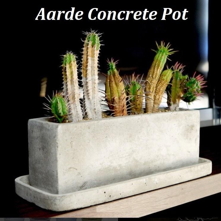 植木鉢 長方形 セメント コンクリ長角 30cm X 8cm 底穴あり 受け皿付 おしゃれ 横長 長鉢 寄せ植え コンクリー 植木鉢 長方形 セメント コンクリ長角 30cm X 8cm 底穴あり 受け皿付 おしゃれ 横長 長鉢 寄せ植え コンクリー