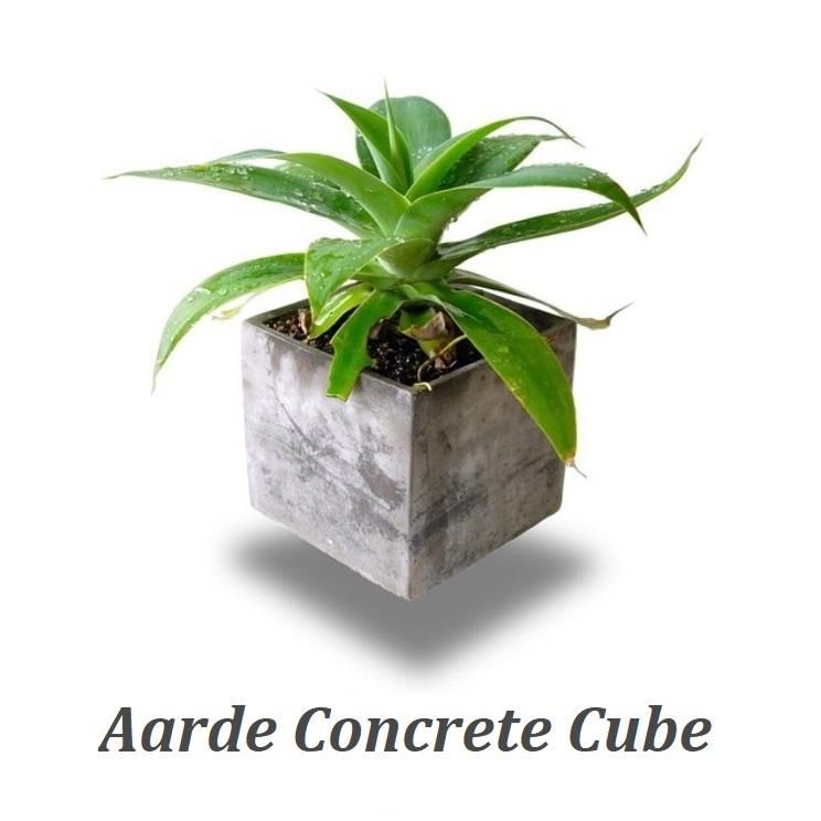 植木鉢 おしゃれ セメント コンクリキューブ L＜ 15cm 5号 底穴あり