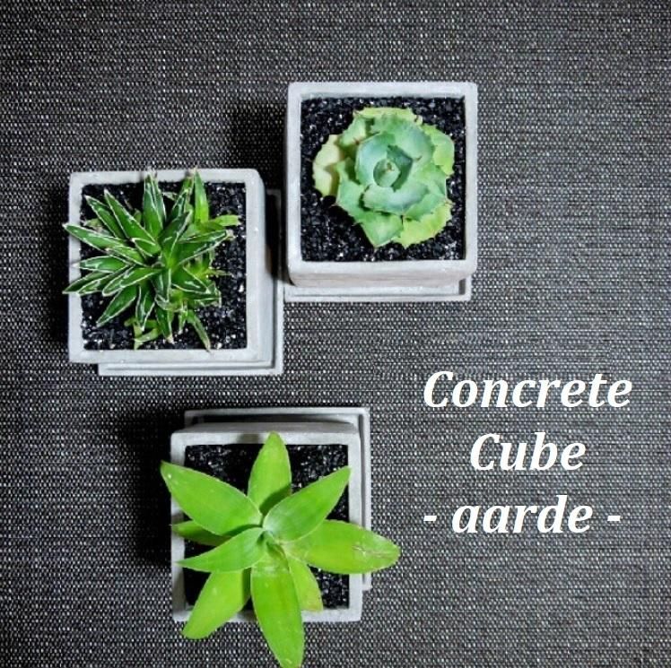 植木鉢 おしゃれ セメント コンクリキューブ L＜ 15cm 5号 底穴あり