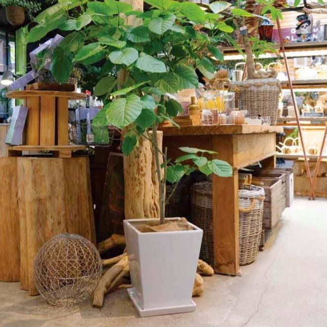植木鉢 おしゃれ 陶器鉢 MP11 (2色)< 26cm 8.5号 底穴あり 植木鉢 おしゃれ 陶器鉢 MP11 (2色)< 26cm 8.5号 底穴あり