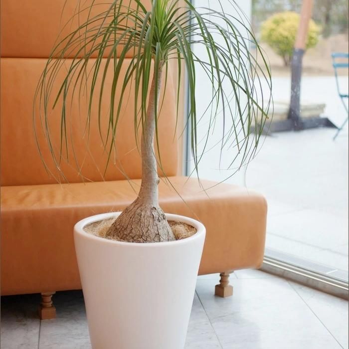 植木鉢 おしゃれ 陶器鉢 MP12 (2色)< 26cm 8.5号 底穴あり 植木鉢 おしゃれ 陶器鉢 MP12 (2色)< 26cm 8.5号 底穴あり