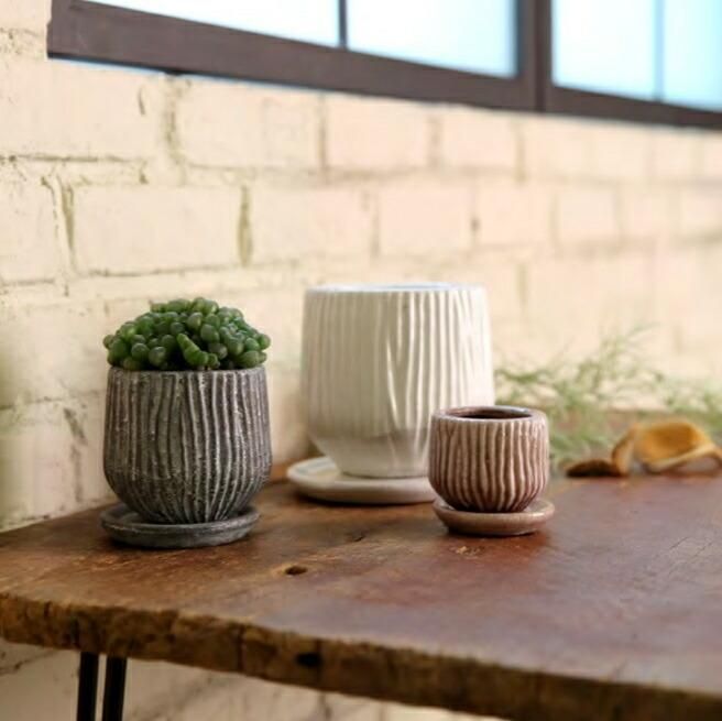 植木鉢 おしゃれ 陶器鉢 ルミオラ2L (5色)＜ 13cm 4号 底穴あり 受け皿