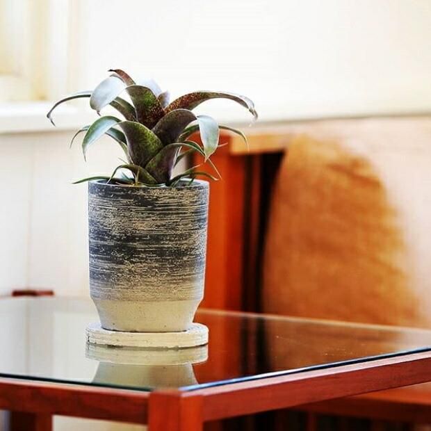植木鉢 おしゃれ セメント テトラハイl 15cm 5号 穴あり 受け皿あり ベージュ グレー 黒 コンクリート プランター 縦長 長鉢