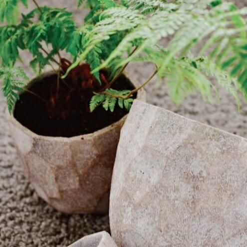 鉢 コンクリート おしゃれ アンシャルM＜ 24cm 穴あり 植木鉢