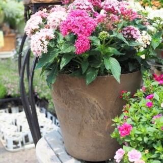 アンティーク・シャビー - おしゃれな植木鉢とプランターの通販専門店